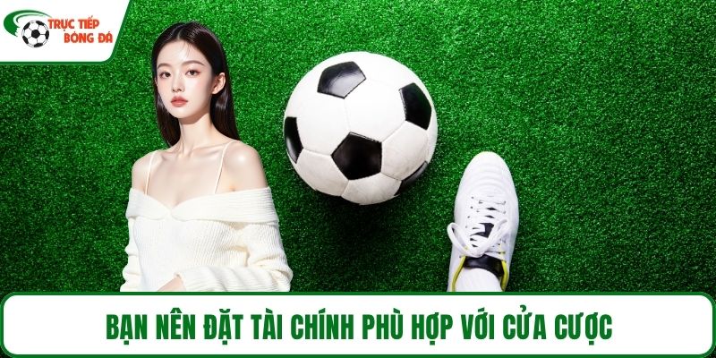 Bạn nên đặt tài chính phù hợp với cửa cược