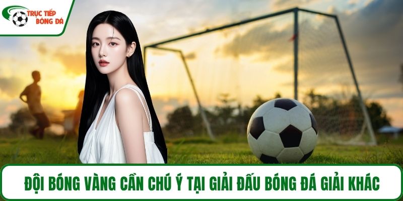 Đội bóng vàng cần chú ý tại giải đấu bóng đá giải khác